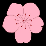 咕噜视频下载官方版